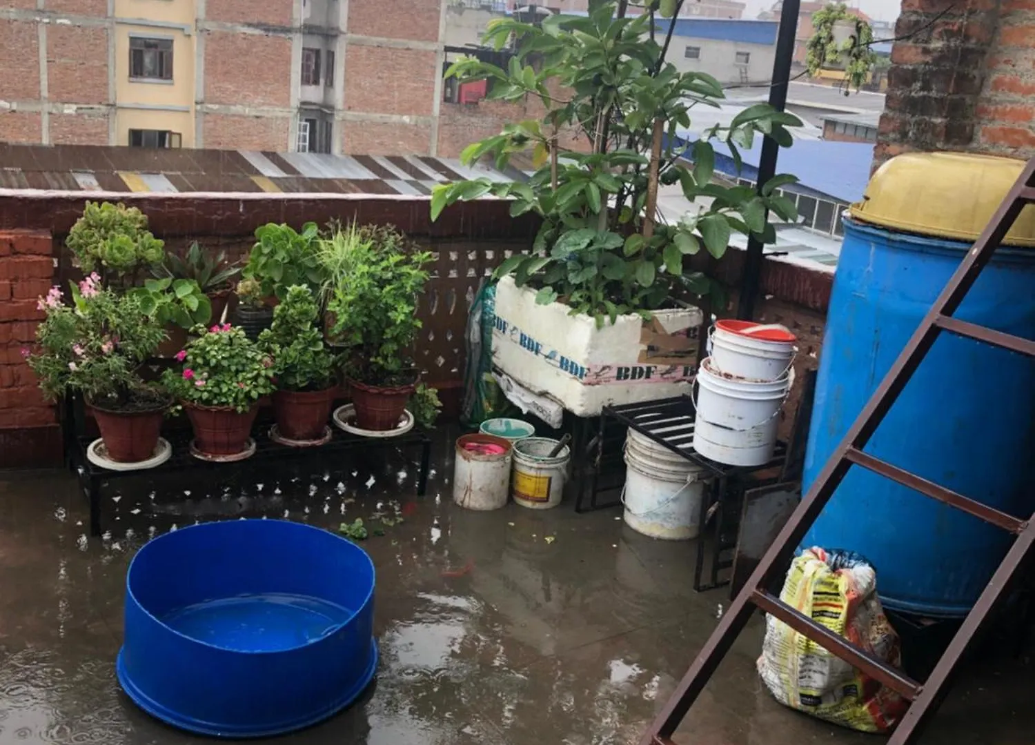 Samriddhi Homestay Catmandu